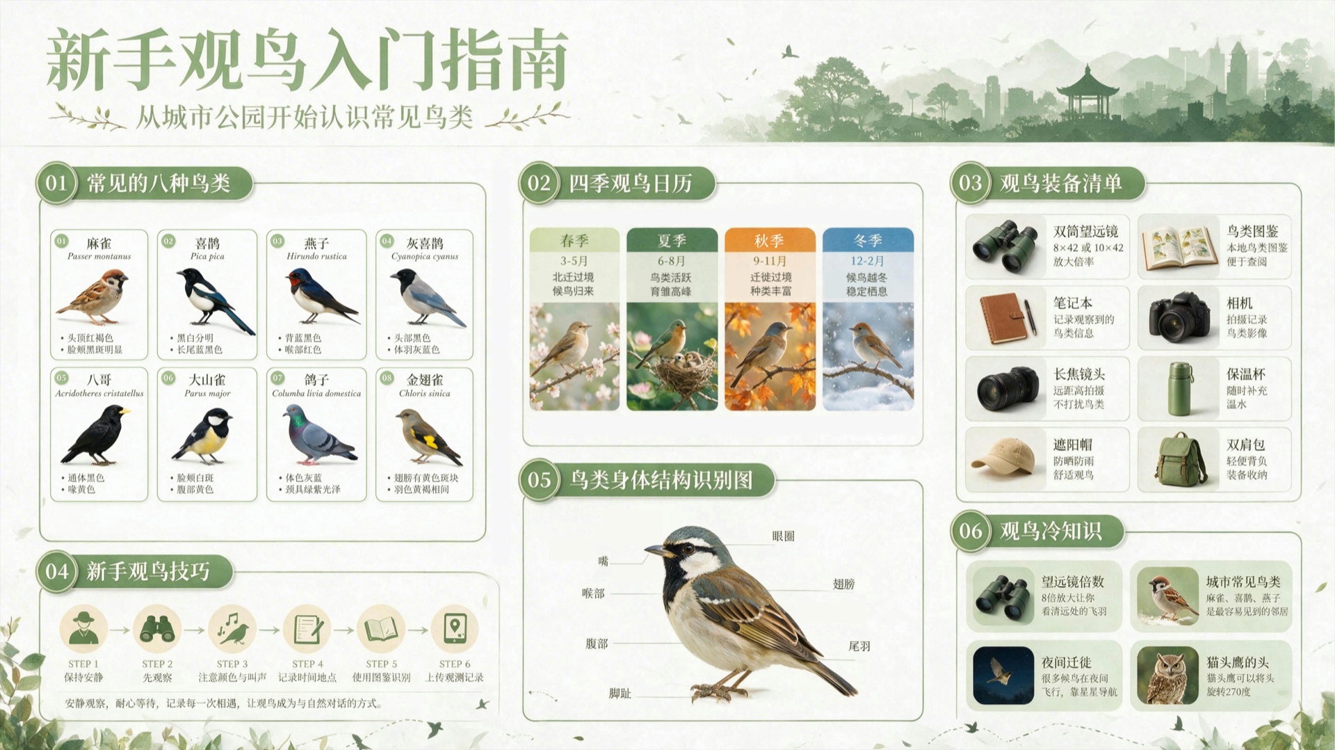 A high-resolution Seedream 5.0 birdwatching infographic using a structured grid, illustrations, icons, and multilingual labels